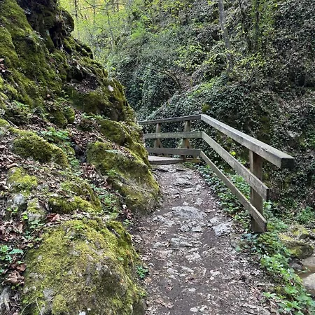 Paradiesquelle Smart Puchberg am Schneeberg