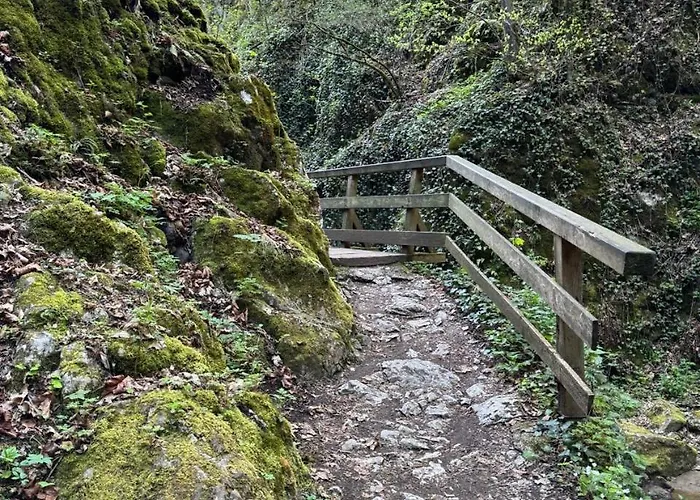 Paradiesquelle Smart Puchberg am Schneeberg