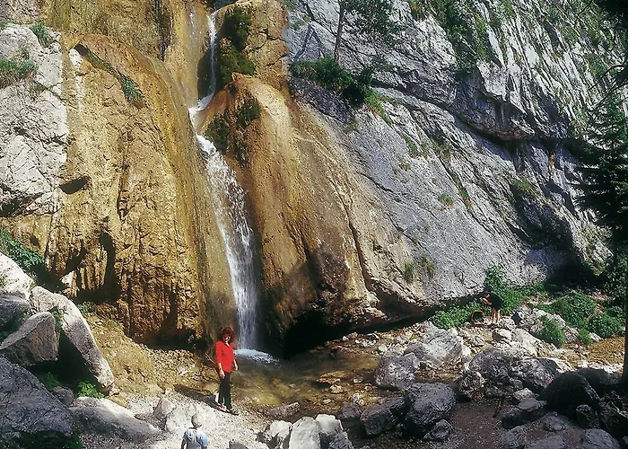 Paradiesquelle Smart Puchberg am Schneeberg